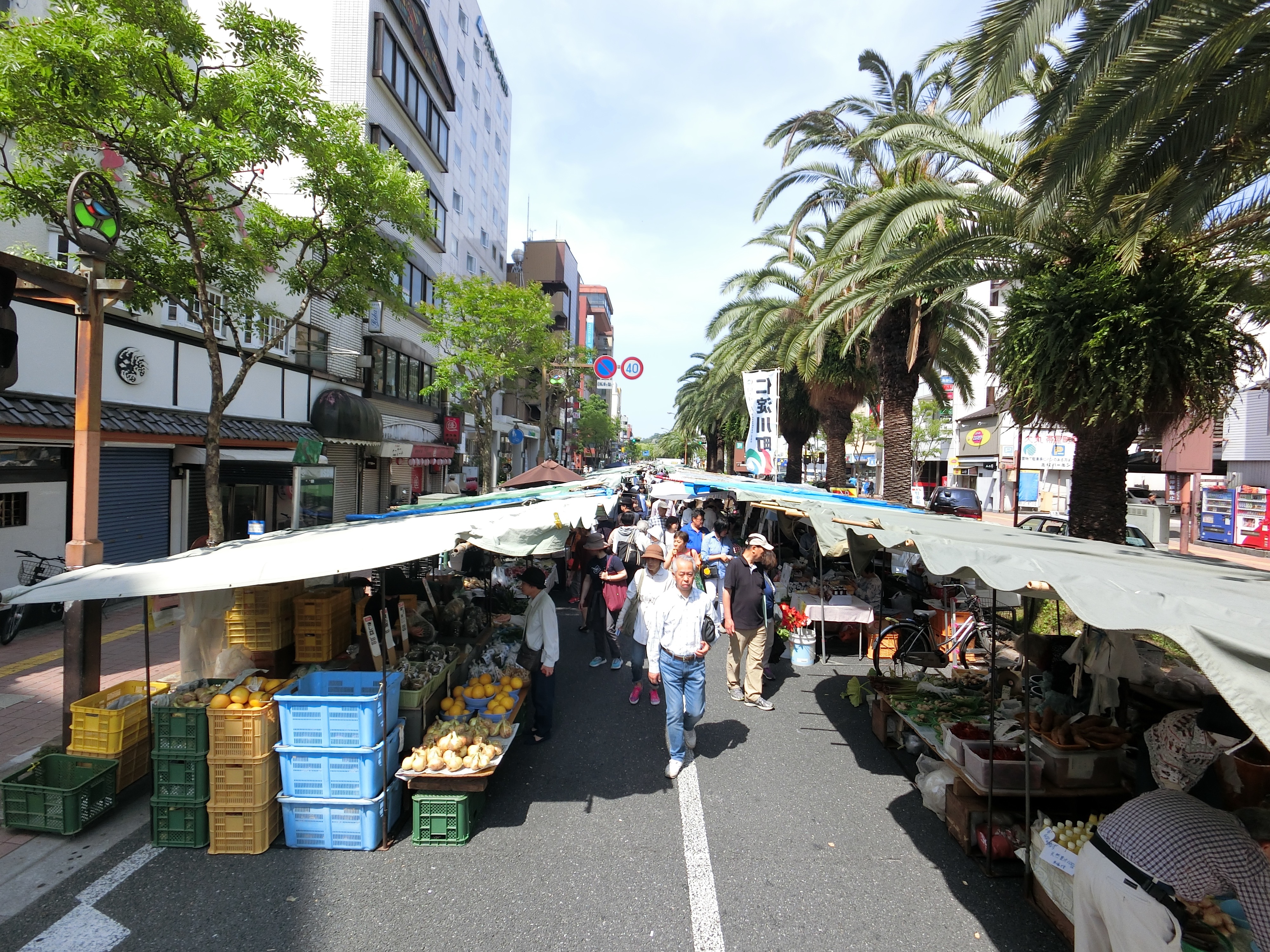 土佐の日曜市を少しばかり違う視点で ガタリ夜話